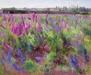 El campo de Delphinium, 1991